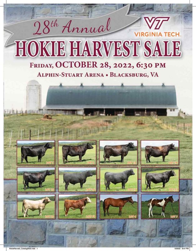 Screenshot of the cover of the 2022 Hokie Harvest Sale Catalog.