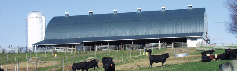 VT Beef Center