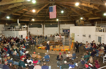 hokie-harvest-sale